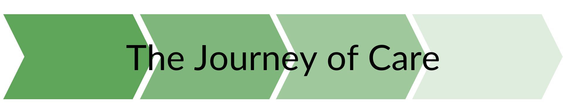 Journey of Care graphic