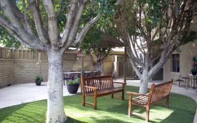 The Joshua Tree community courtyard at Glencroft