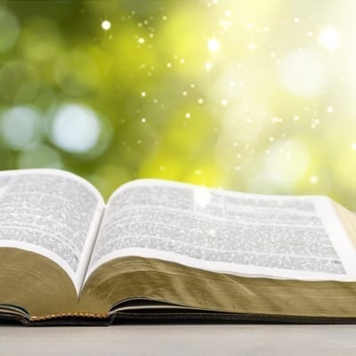 bible in the sun